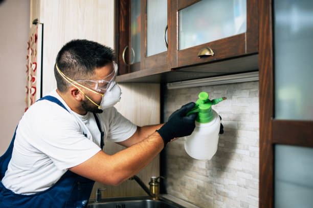 Best Pest Removal Services  in Irwin, PA