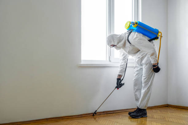 Best Mosquito Control Services  in Irwin, PA