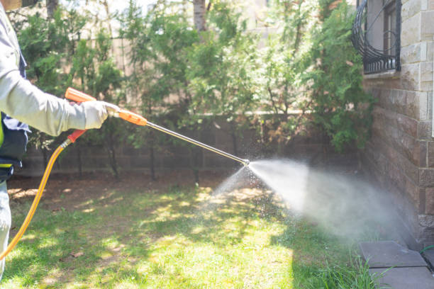 Best Best Pest Control Companies  in Irwin, PA