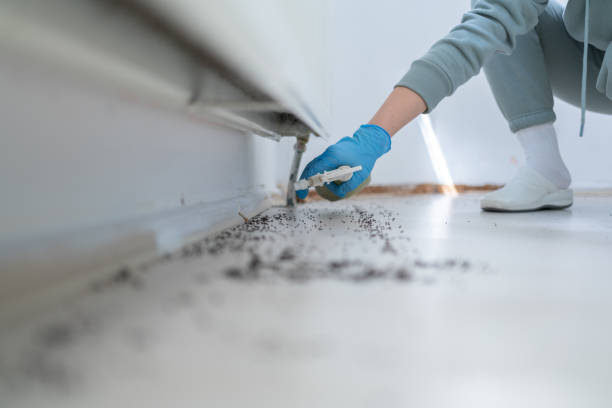 Best Residential Pest Control  in Irwin, PA